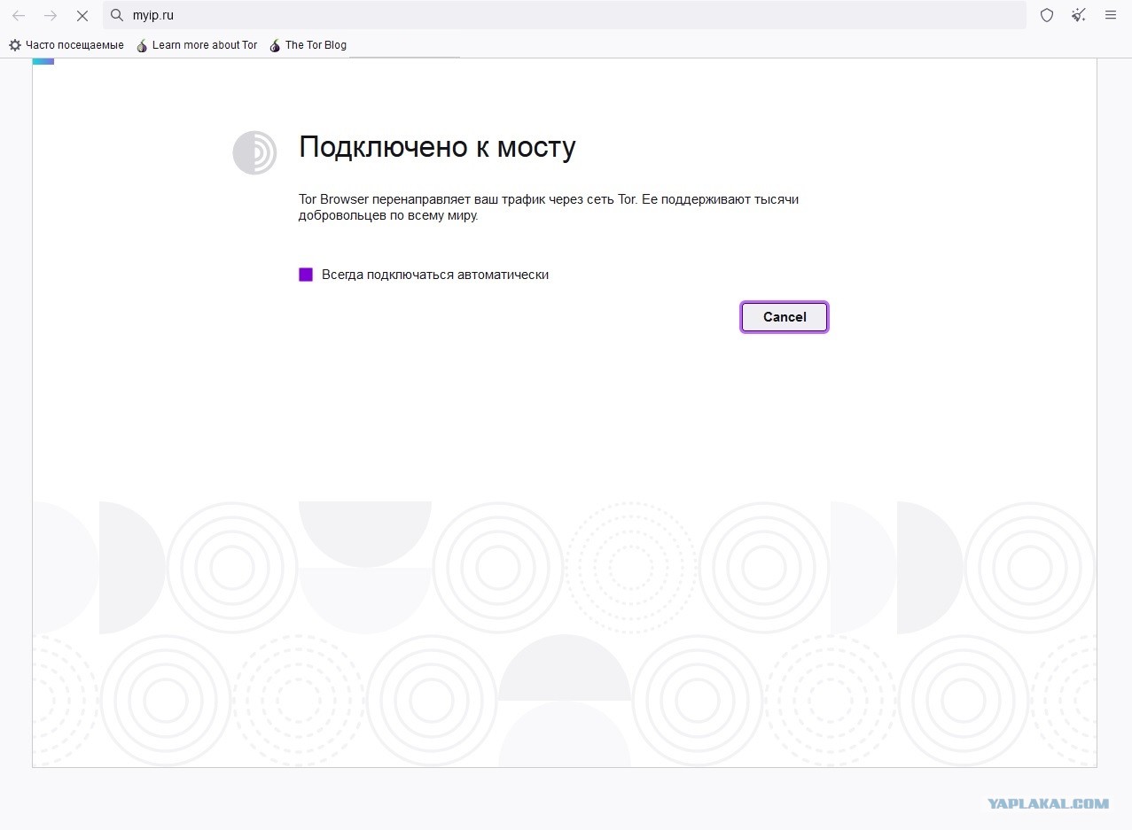 Где найти рабочую ссылку на кракен