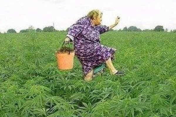 Кракен шоп нарк